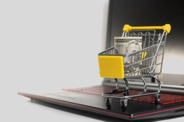 Çevrimiçi eşya mağazası konsepti. Beyaz isolize edilmiş arka planda hızlı ödeme ve ürünlerin eve veya işe teslimi