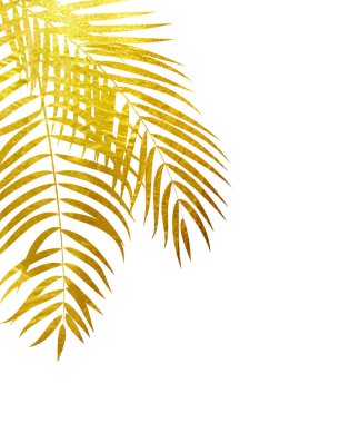 Beautifil palmiye ağacı yaprak siluet arka plan vektör Illustrat