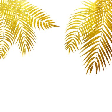 Beautifil palmiye ağacı yaprak siluet arka plan vektör Illustrat