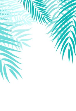 Beautifil palmiye ağacı yaprak siluet arka plan vektör Illustrat