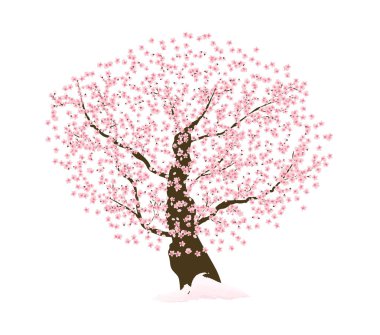 Sakura çiçek Japon ağacı doğal arka plan V