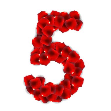 Gül yaprakları gerçekçi numara vektör çizim