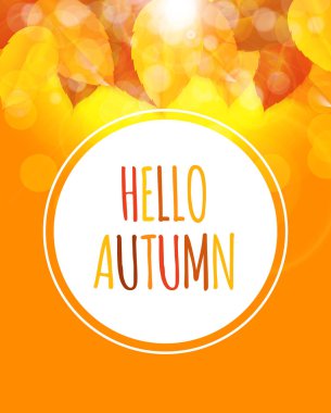Parlak Merhaba sonbahar doğal arka plan bırakır. Vektör çizim