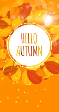 Parlak Merhaba sonbahar doğal arka plan bırakır. Vektör çizim