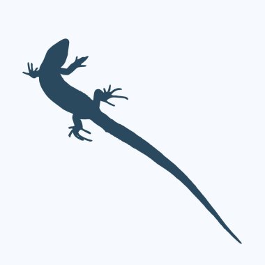 Sürüngenler bir kertenkele silüeti. Vektör çizim.