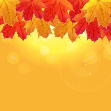 parlak sonbahar doğal arka planda kalıyor. vektör çizim