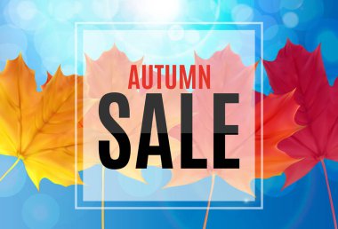 Parlak sonbahar yaprakları satışı büyük başlığı. İş indirim kartı vektör çizim