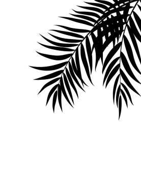 Güzel Palmiye Ağacı Yaprak Silueti Arkaplan Vektörü İllüstrasyonu