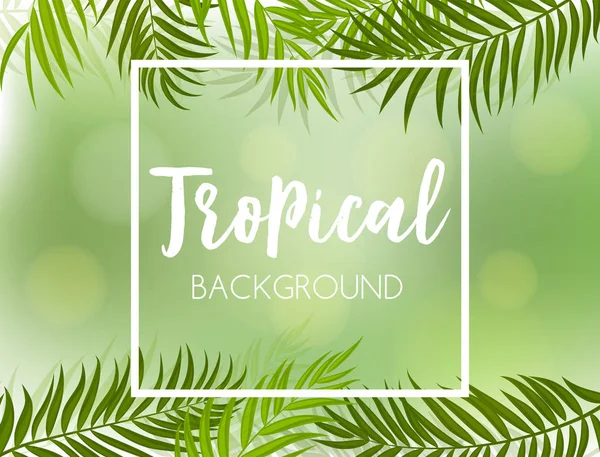 Güzel Palmiye Ağacı Yaprak Silueti Arkaplan Vektörü İllüstrasyonu