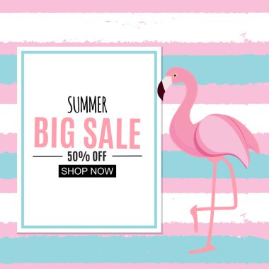 Flamingo ve çerçeve ile tropikal arka plan. Vektör çizim