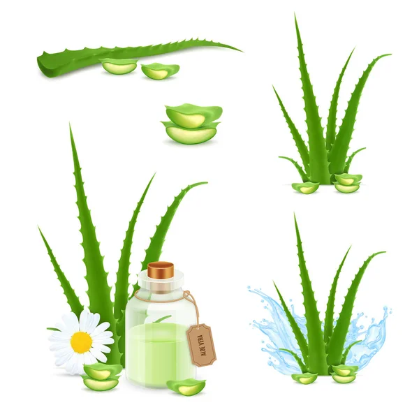 Icone di aloe vera — Vettoriale Stock