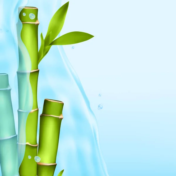 Bambou dans une éclaboussure d'eau — Image vectorielle