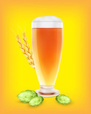 Bira cam hop bitki ve buğday ile