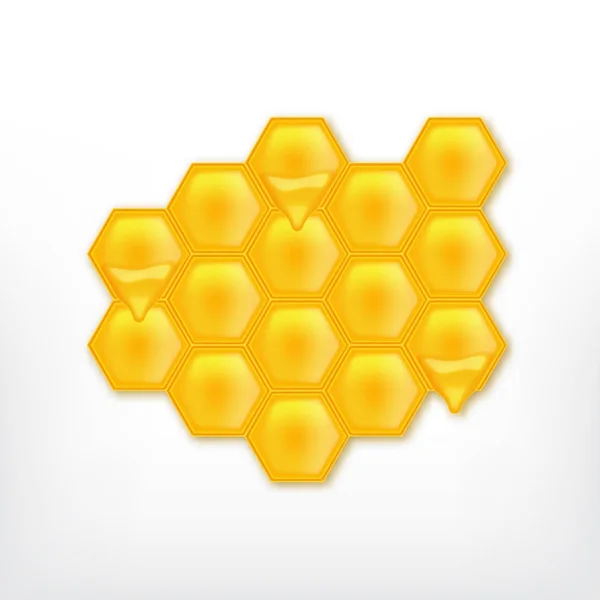 Honungskaka med flödande honung — Stock vektor