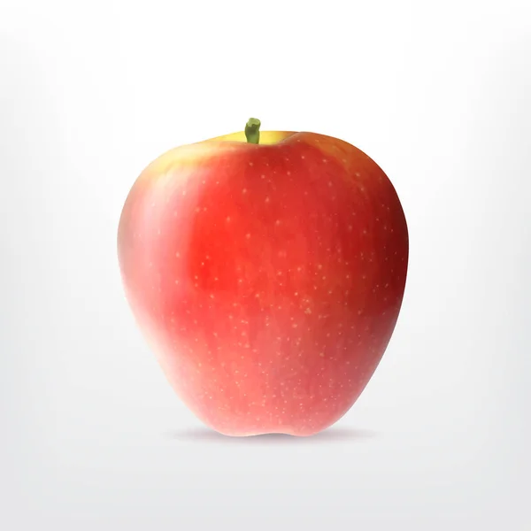 熟した赤いリンゴ — ストックベクタ