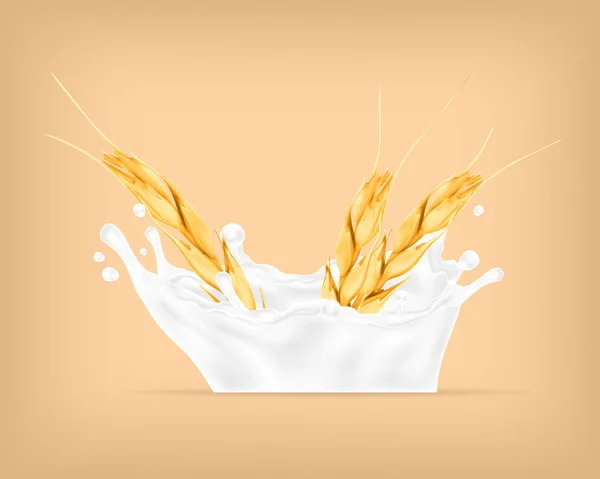 Buğday ve süt sıçrama. — Stok Vektör