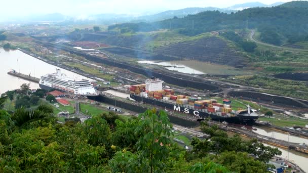 Vrachtschip in panama canal — Stockvideo