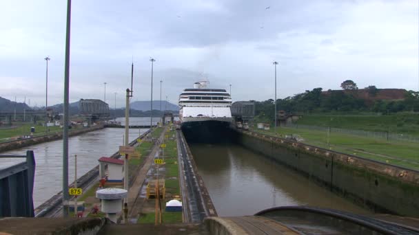 Kreuzfahrtschiff (hollandamerica cruise line) im panamakanal — Stockvideo