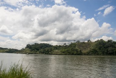 Güneşli bir yaz Panama Kanalı