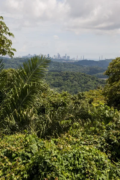 Ciudad de Panamá vista —  Fotos de Stock