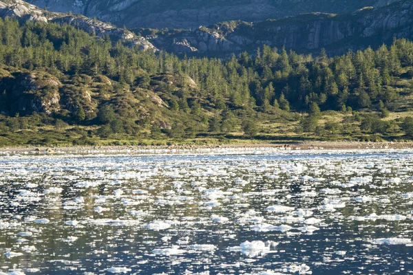 ชิลี Fjords และ Sarmiento ช่อง — ภาพถ่ายสต็อก