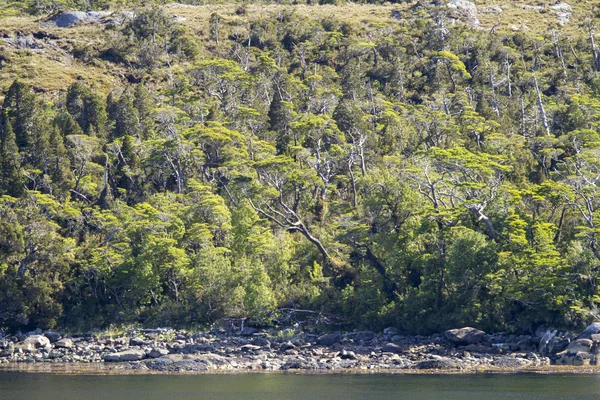 Chilenska fjordarna och Sarmiento kanal — Stockfoto