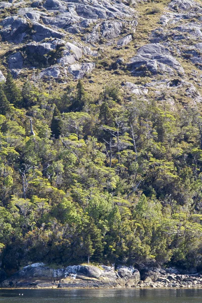 Chilské fjordy a Sarmiento kanál — Stock fotografie