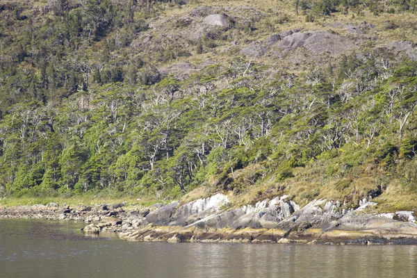 Chilenska fjordarna och Sarmiento kanal — Stockfoto