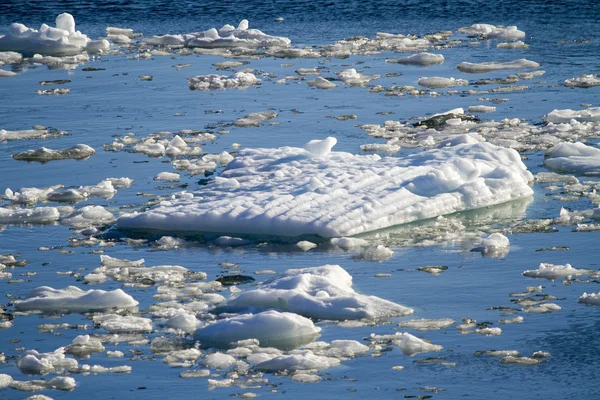 Glacier Amalia - Réchauffement climatique - Formations de glace — Photo