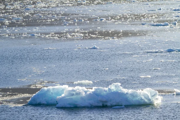 阿玛莉亚冰川-全球变暖-冰层 — 图库照片