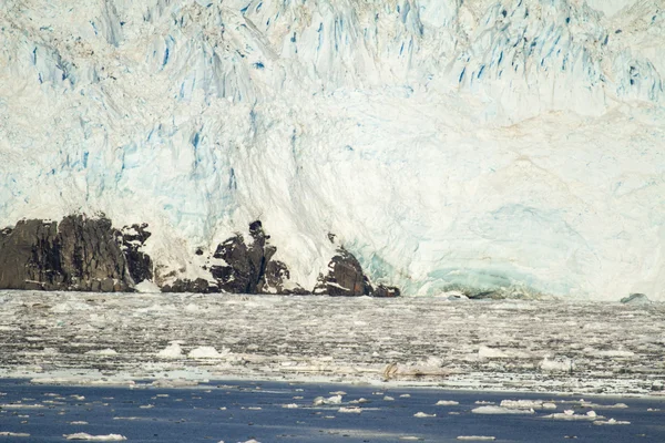 Χιλή - Αμαλία παγετώνα τοπίο — Φωτογραφία Αρχείου