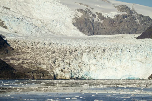 Chile - Amalia Glacier Landskab - Stock-foto