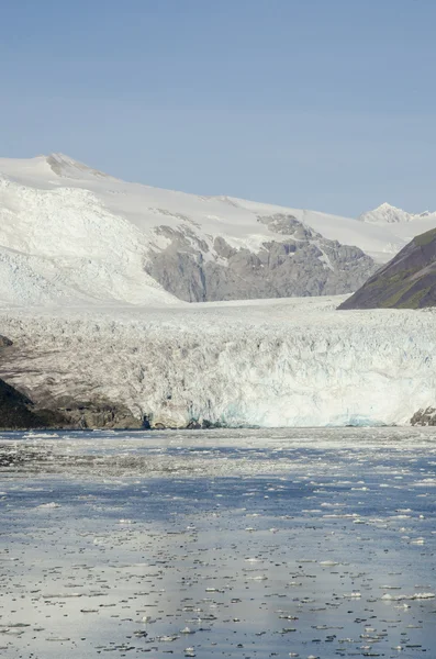 칠레-아말리아 빙하 풍경 — 스톡 사진
