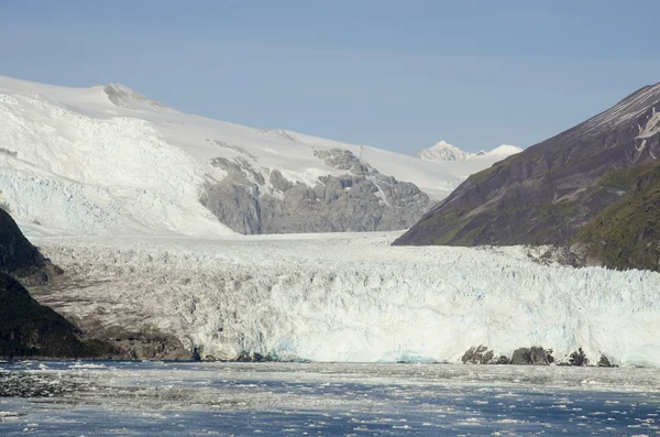 Чили - ландшафт ледника Амалия Стоковая Картинка