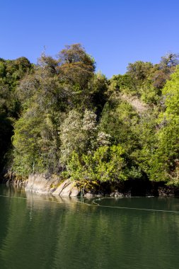 Şili fiyortları içeriden geçirilmesi