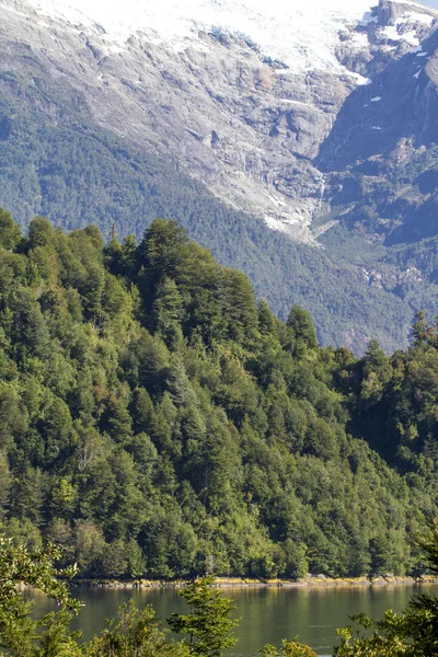 All'interno del passaggio dei fiordi cileni — Foto Stock