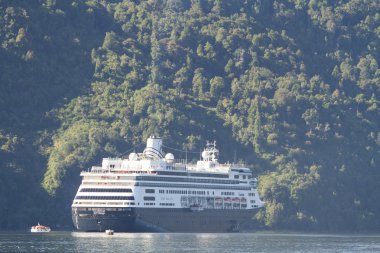 Cruise gemi içinde Şili fiyortları geçirilmesi
