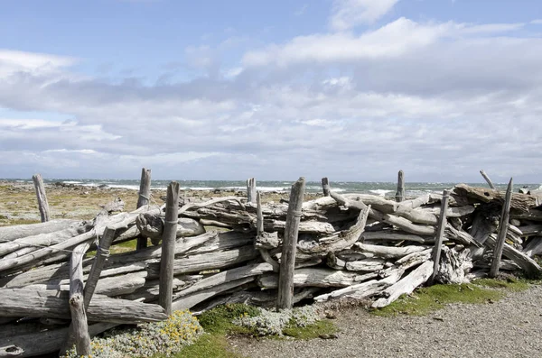 Vue de Seno Otway - Patagonie - Chili — Photo
