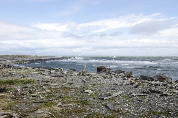 View of Seno Otway - Patagonia - Chile — Stock Photo, Image