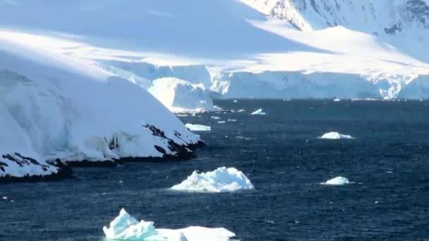 Crucero en la Antártida - Paisaje de cuento de hadas — Vídeo de stock