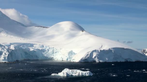 Cruisen in Antarctica - sprookjeslandschap — Stockvideo