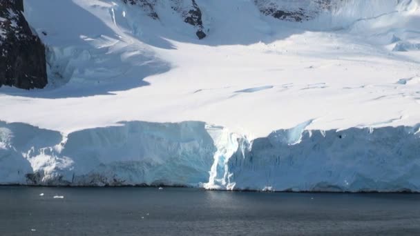 Cirkál az Antarktiszon - mesebeli táj — Stock videók