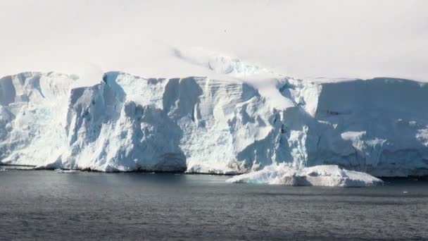 Cruisen in Antarctica - sprookjeslandschap — Stockvideo