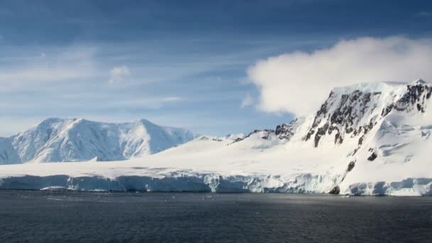 Cruisen in Antarctica - sprookjeslandschap — Stockvideo