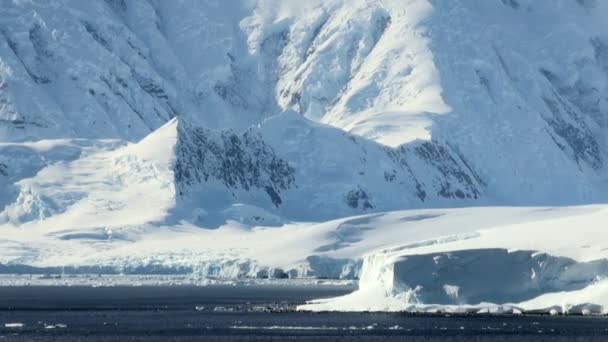 Круиз в Антарктиде - сказочный пейзаж — стоковое видео
