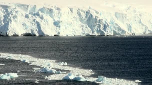 Rejsy na Antarktydzie - bajkowy krajobraz — Wideo stockowe