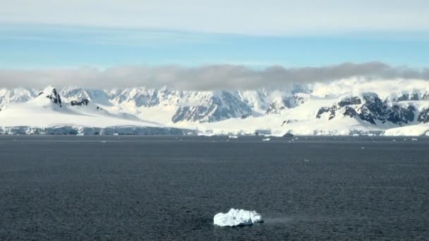 Cruisen in Antarctica - sprookjeslandschap — Stockvideo