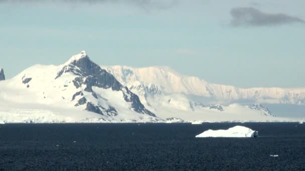 Cruisen in Antarctica - sprookjeslandschap — Stockvideo