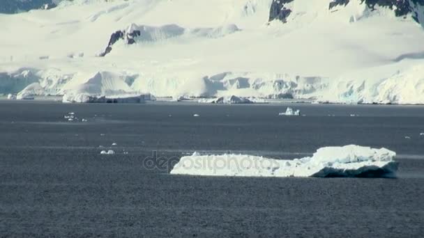 Crucero en la Antártida - Paisaje de cuento de hadas — Vídeo de stock