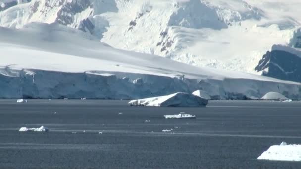 Crociera in Antartide - Paesaggio da favola — Video Stock